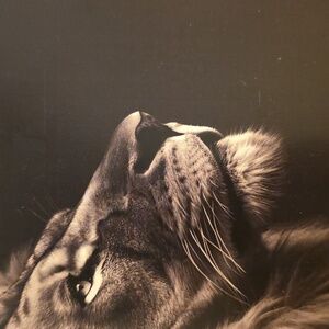 SOLD adidas STAN SMITH Women's Metallic Silver Sneakers